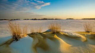 Uitzicht van het nationaal park de Loonse en Drunense duinen Loonse en Drunense duinen
