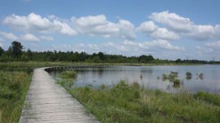 Wandelpad over de vennen aan de zuid zijde van natuurgebied Huis ter Heide. Wandelpad huis te heide