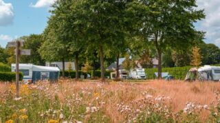 Kampeerveld Kampeerveld